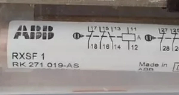 RXSF1 RXSF1
